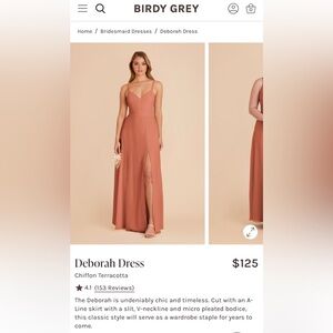 Birdie Grey Bridesmaid Dress Deborah Chiffon Dress - Terracotta XL